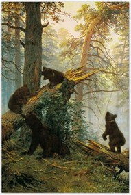 Poszterek 60x90 Reggel a fenyőerdőben