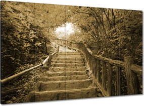 Vászonkép 100x70 Lépcsők szépia színben