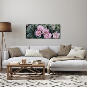 Kaktusz virágának képe (120x50 cm)
