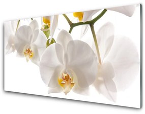 Üvegkép Orchidea virágok Természet 100x50 cm 2 fogas