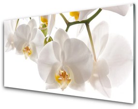 Üvegkép Orchidea virágok Természet 100x50 cm