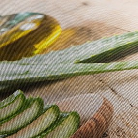 Kép - Aloe vera (120x50 cm)