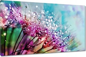 Vászonkép 120x70 Harmatcseppek Pitypang