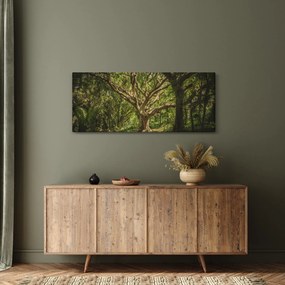 Fa képe (120x50 cm)