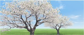 Fa képe (120x50 cm)