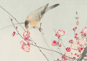 Fotótapéta Flizelin Hálószoba és Nappali Tapéta Virágos madár 312x219