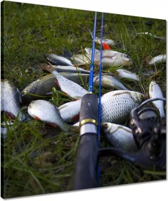 Vászonkép 50x50 Kis halak a fűben