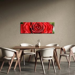 Egy rózsa virág képe (órával) (90x30 cm)