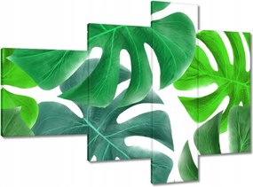 Vászonkép 100x70 Levelek Monstery Trópusok