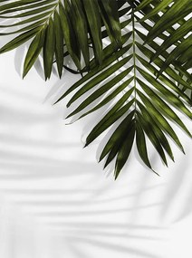 Fotótapéta 190x254 tapéta flizelin levél #F154 #sf