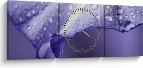 Kép - Szirom cseppekkel (órával) (90x30 cm)