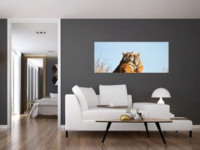 Kép - Tigris és a kölyke (120x50 cm)