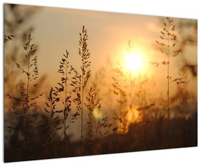 Napkelte képe (90x60 cm)