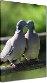 Vászonkép 80x120 Szerelem Érzés Párkapcsolat