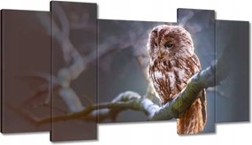 Vászonkép 120x65 Bagoly az ágon Ragadozó