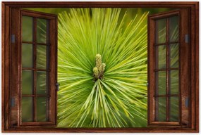 Poszterek 120x80 Ág