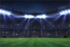 Kép - Labdarúgó stadion (90x60 cm)