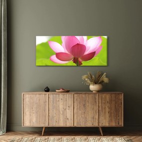 Lótuszvirág kép (120x50 cm)
