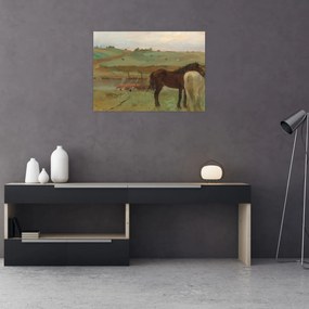 Kép - Edgar Degas, Horses in a Meadow, reprodukciók (70x50 cm)