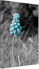 Vászonkép 80x120 Türkiz virág