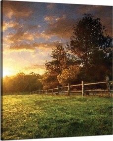Vászonkép Nap Tájkép Falusi fák Rét 80x100 cm