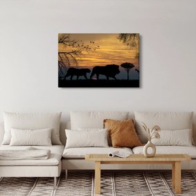 Safari képe (90x60 cm)
