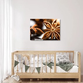 Üveg kép - Anise (70x50 cm)