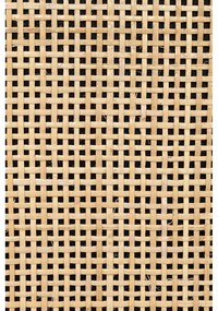 Fekete rattan magas komód 80x100 cm Guuji - White Label