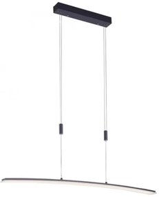 Paul Neuhaus 2530-13 - LED Dimmelhető csillár zsinóron JANINA LED/27W/230V