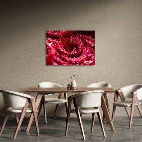 Vörös rózsa virágzata képe (üvegen) (70x50 cm)