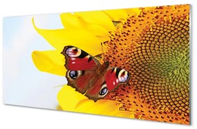 Üvegképek napraforgó pillangó 100x50 cm
