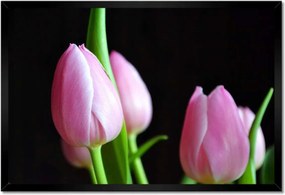 Poszter keretben 60x40 Lila tulipánok