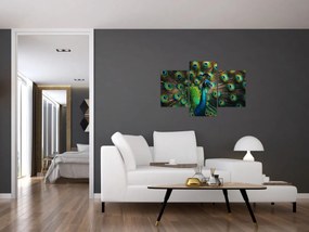 Kép – Pávatoll (90x60 cm)