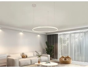 LED dimmelhető csillár zsinóron LED/55W/230V 3000-6500K + távirányítás
