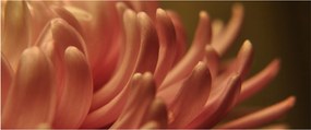 A virág részletének képe (120x50 cm)