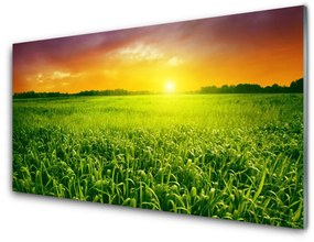 Üvegfotó Wheat Field Sunrise 120x60cm 2 fogas