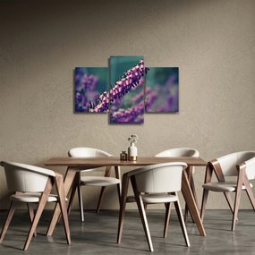 Lila virág képe (90x60 cm)