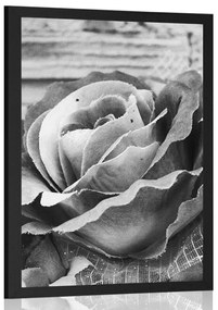 Poszter elegáns vintage rózsa fekete fehérben