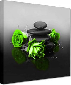 Vászonkép 60x60 Lime rózsa Spa