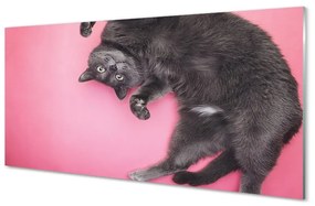 Üvegképek fekvő macska 120x60cm