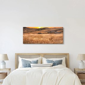 Mező képe (120x50 cm)