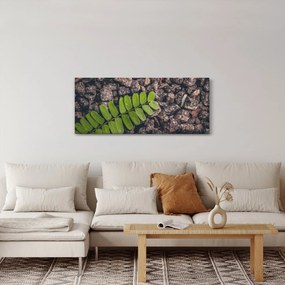 Zöld növények képe (120x50 cm)