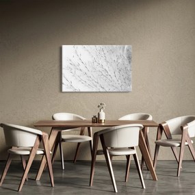 Kép - Pampafű N⁰2 (90x60 cm)