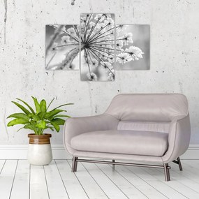 Kép - Virág télen (90x60 cm)