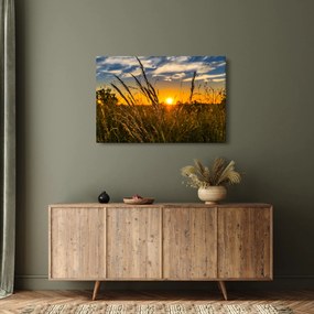 A mező naplementekor képe (90x60 cm)