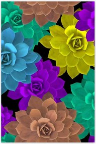 Poszterek 80x120 Színes virágok Virágok