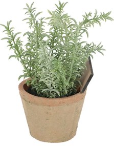 Műnövény (magasság 21,5 cm) Thyme – Esschert Design