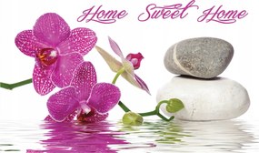 Flizelin fotótapéta Orchideák kövek víz harmónia virágok 368x254 +ragasztó