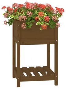 mézbarna tömör fenyőfa növénytartó polccal 54x54x81 cm