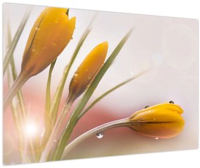 Kép - Tavaszi virágok (90x60 cm)